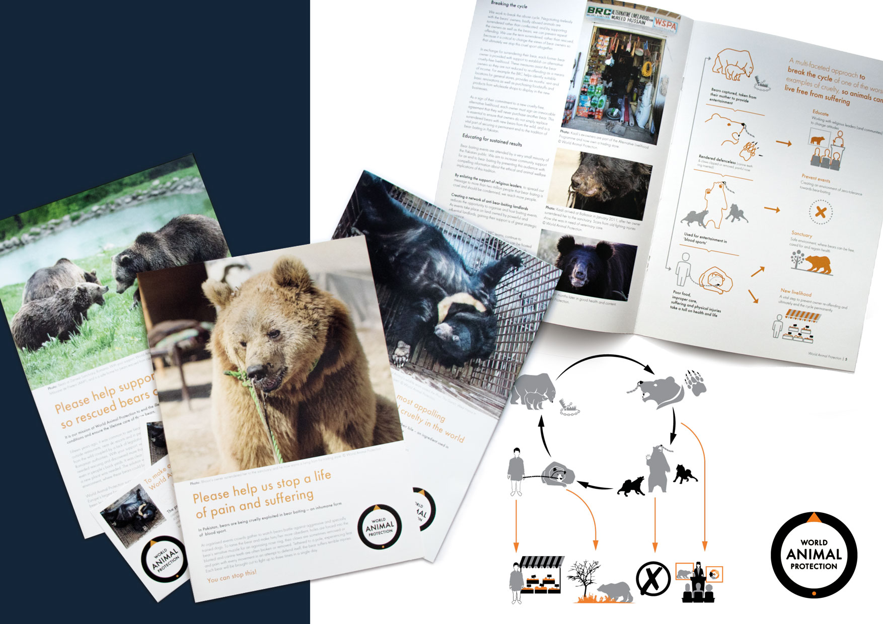 World Animal Health Bears